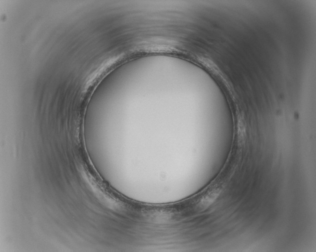 X0000053120533200508012154