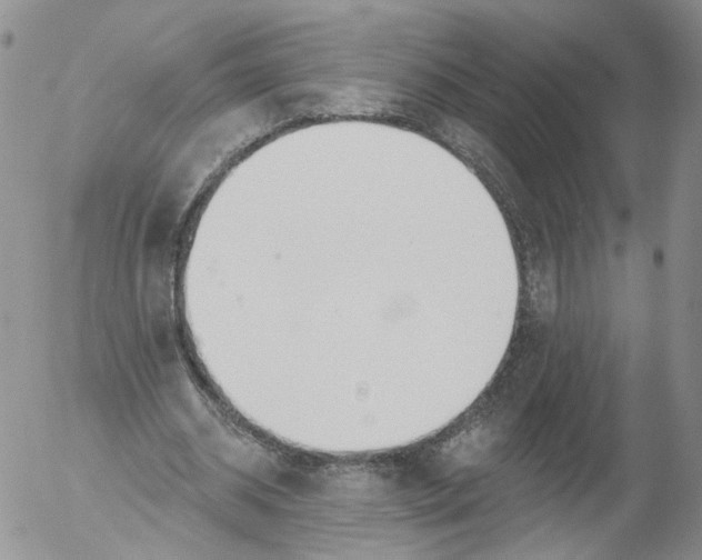 X0000053120534200508012154