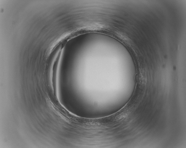 X0000053120535200508012154