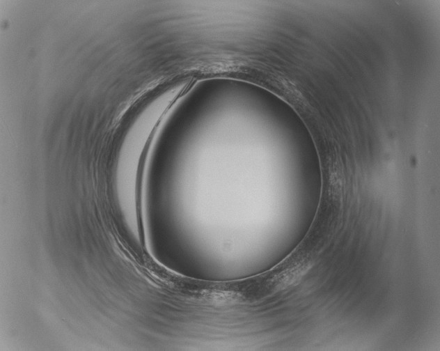 X0000053120539200508012154