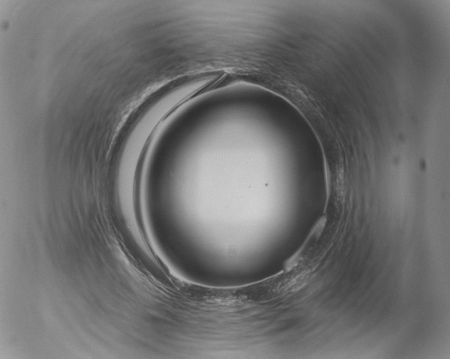 X0000053120540200508012154