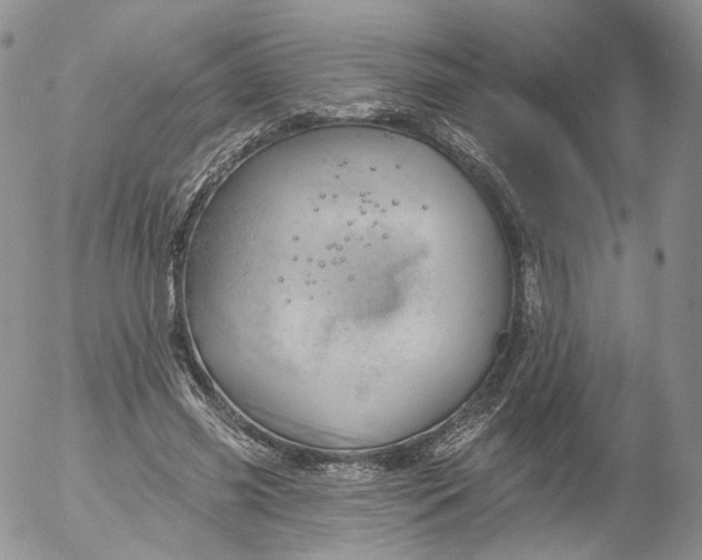 X0000053120541200508012154