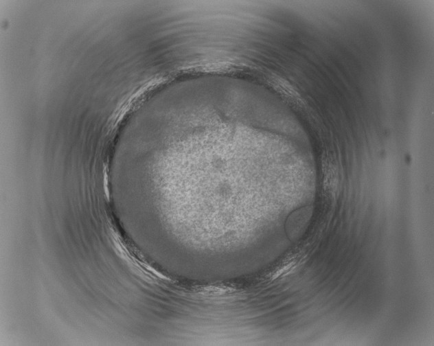 X0000053120542200508012154