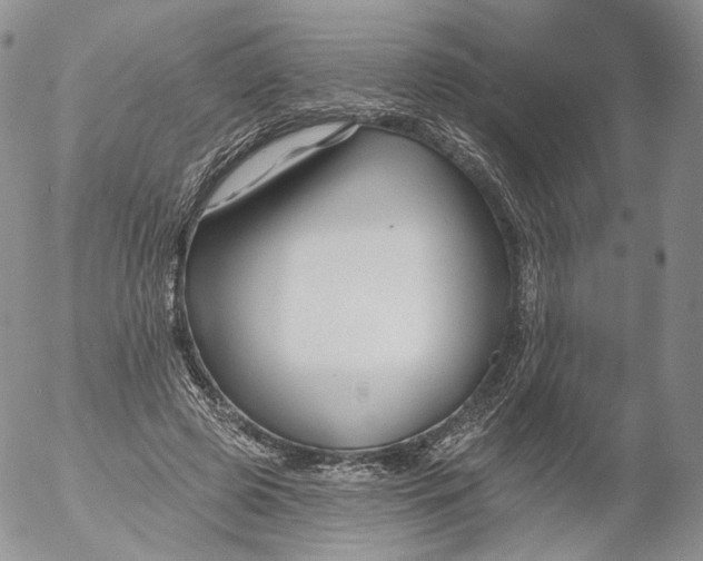 X0000053120545200508012154