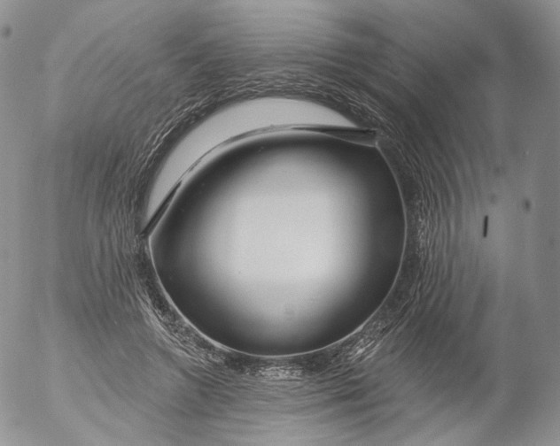 X0000053120546200508012154