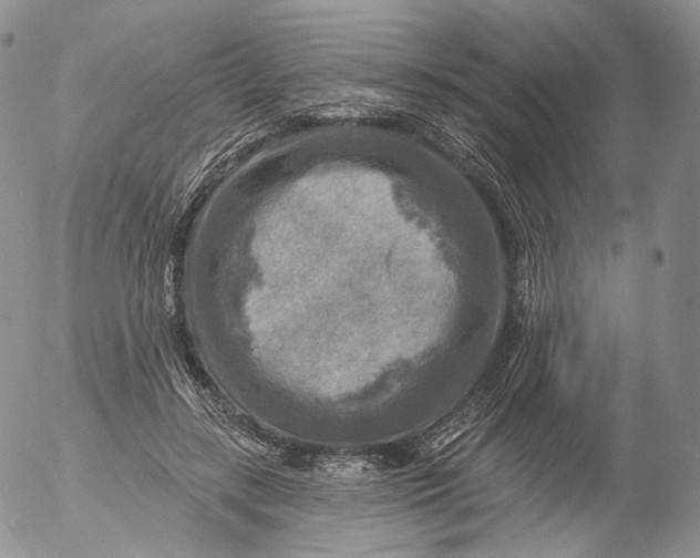 X0000053120547200508012154