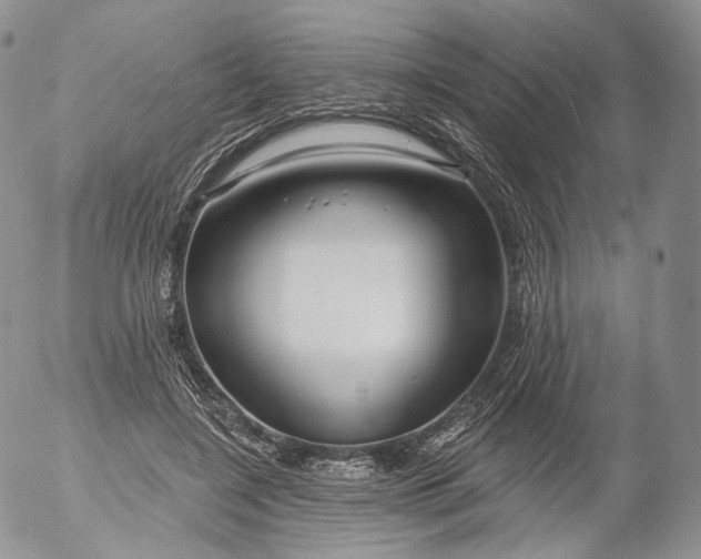 X0000053120548200508012154