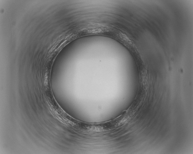 X0000053120549200508012154