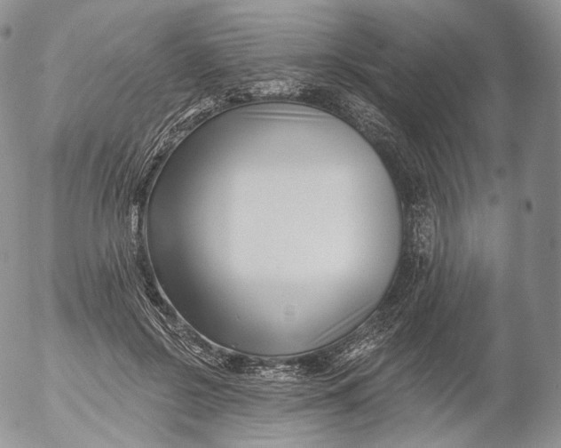 X0000053120550200508012154