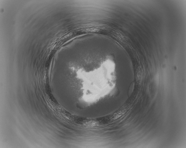 X0000053120551200508012154