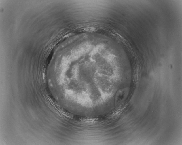 X0000053120553200508012154