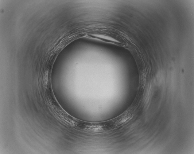 X0000053120554200508012154