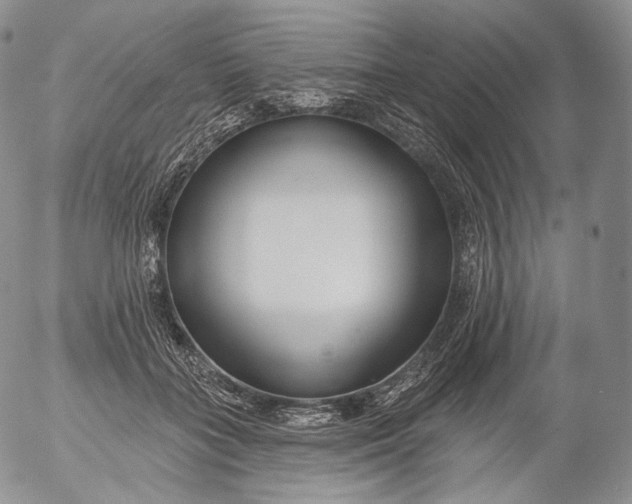 X0000053120555200508012154