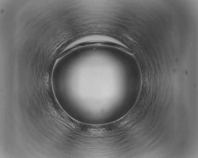 X0000053120556200508012154