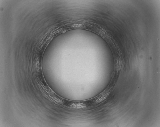 X0000053120557200508012154