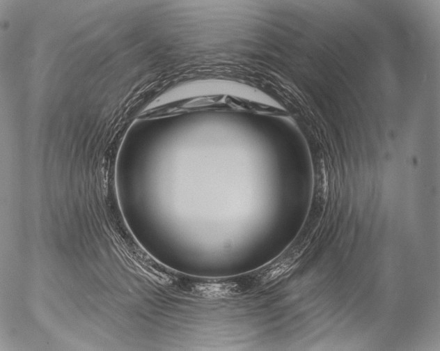 X0000053120558200508012154