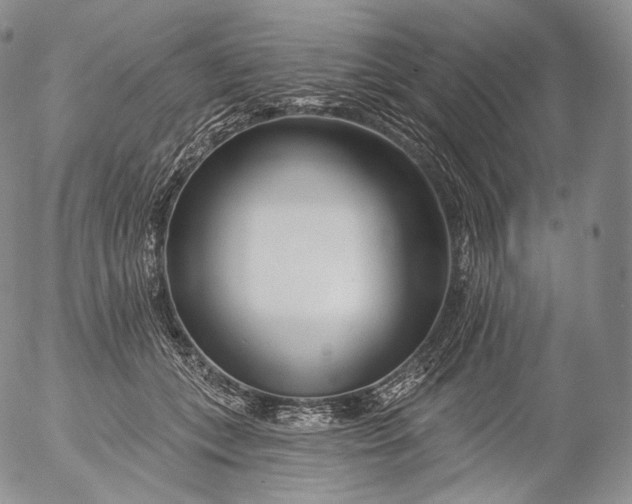 X0000053120559200508012154