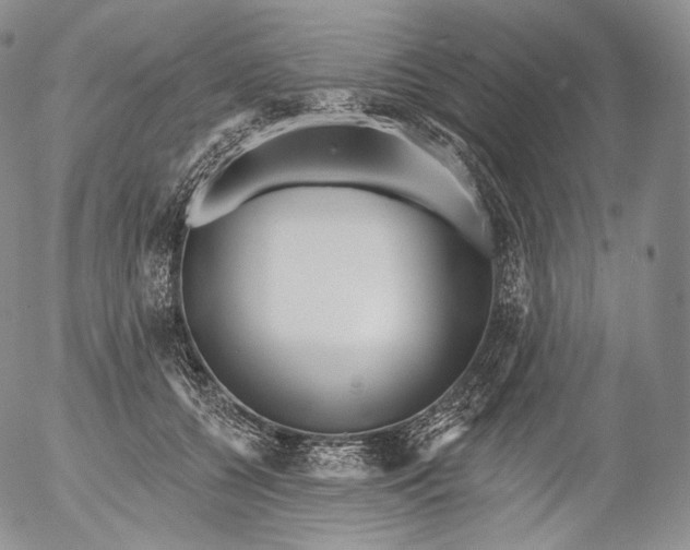 X0000053120560200508012154