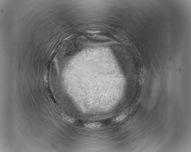 X0000053120561200508012154