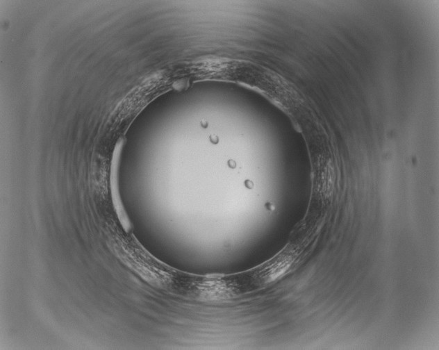 X0000053120562200508012154