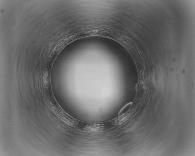 X0000053120563200508012154