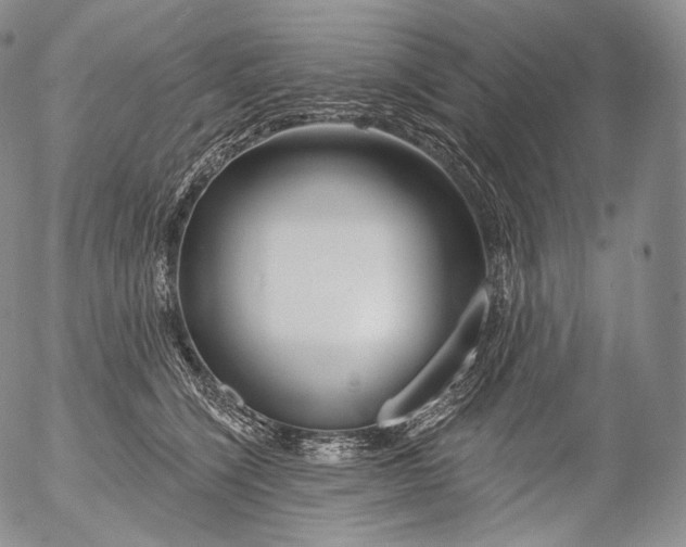 X0000053120564200508012154