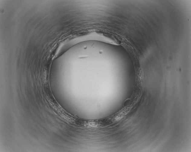 X0000053120565200508012154