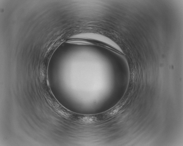 X0000053120566200508012154