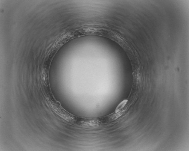 X0000053120567200508012154