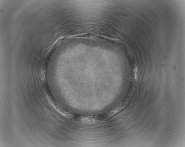 X0000053120568200508012154