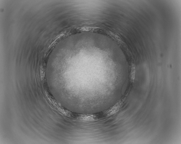 X0000053120569200508012154