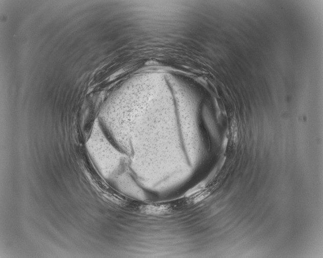 X0000053120570200508012154