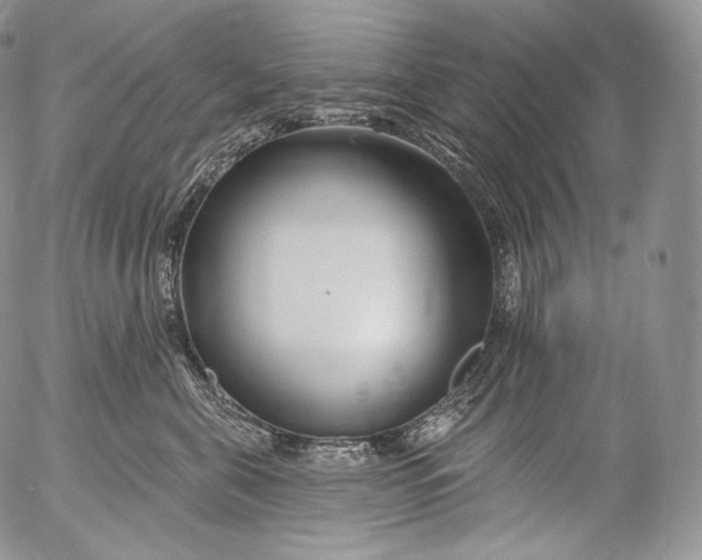 X0000053120571200508012154