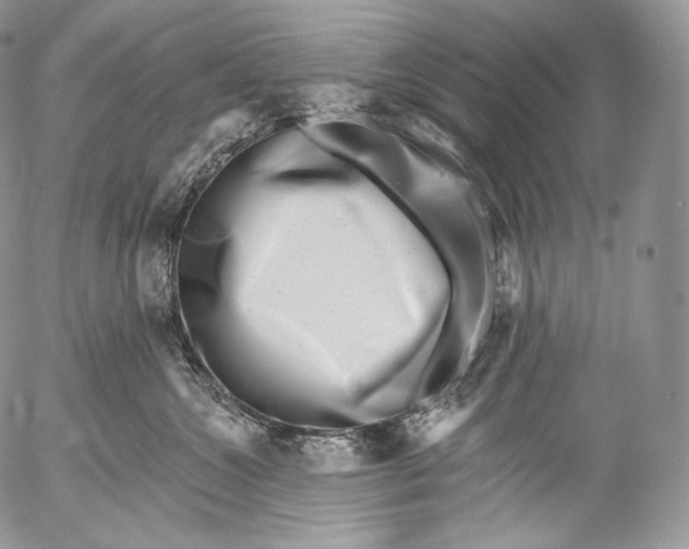 X0000053120572200508012154