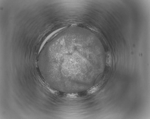 X0000053120573200508012154