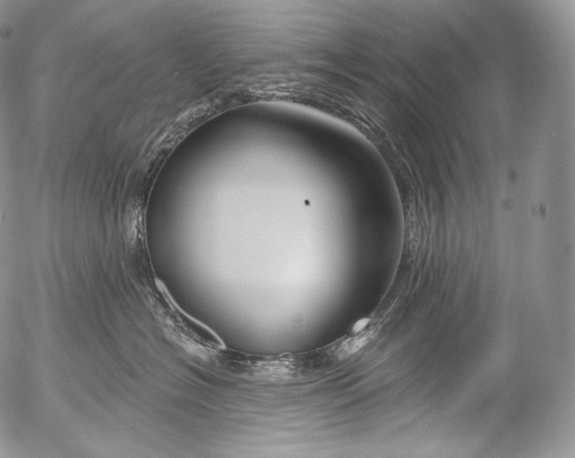 X0000053120574200508012154