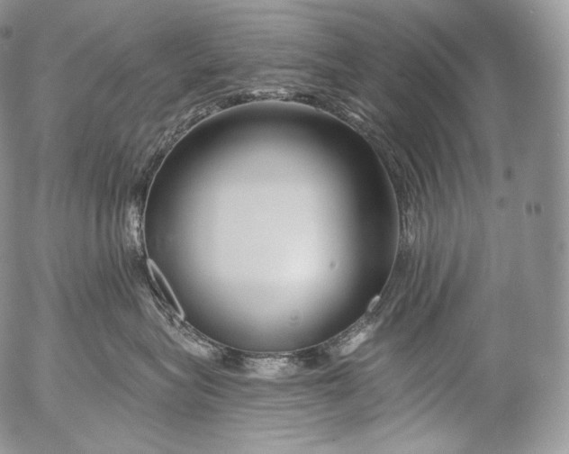 X0000053120575200508012154