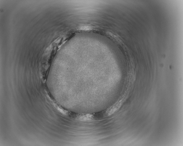 X0000053120576200508012154