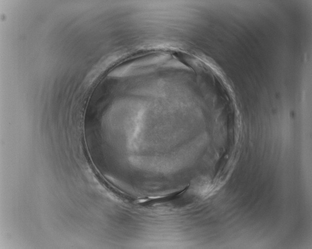 X0000053120577200508012154