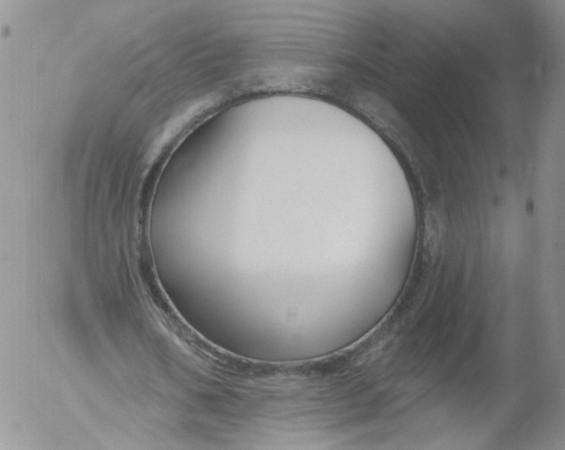 X0000053120578200508012154