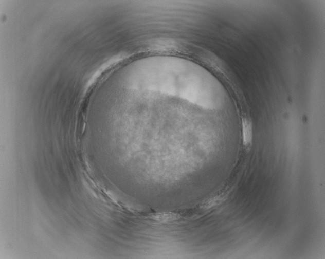 X0000053120579200508012154