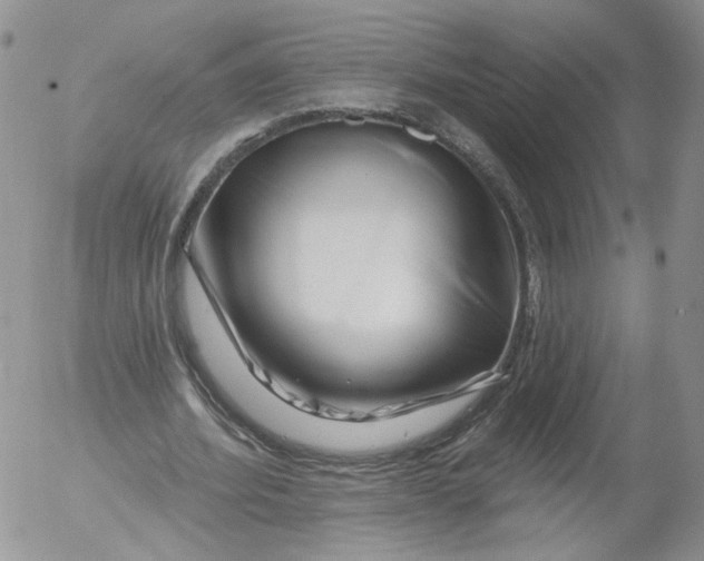 X0000053120580200508012154