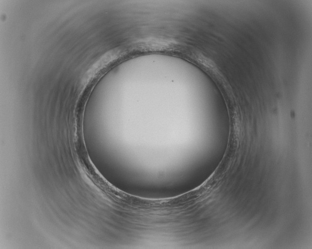 X0000053120582200508012154