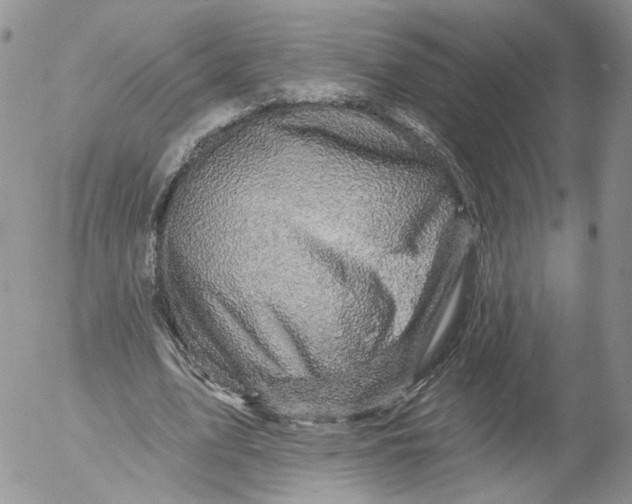 X0000053120583200508012154