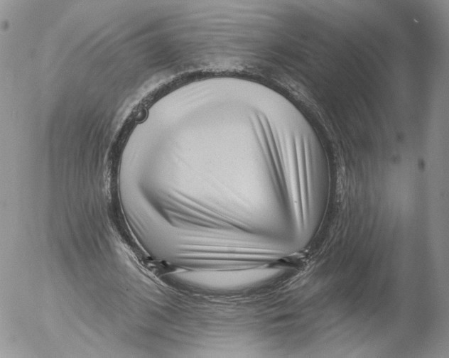 X0000053120584200508012154