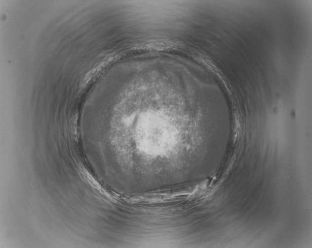 X0000053120585200508012153