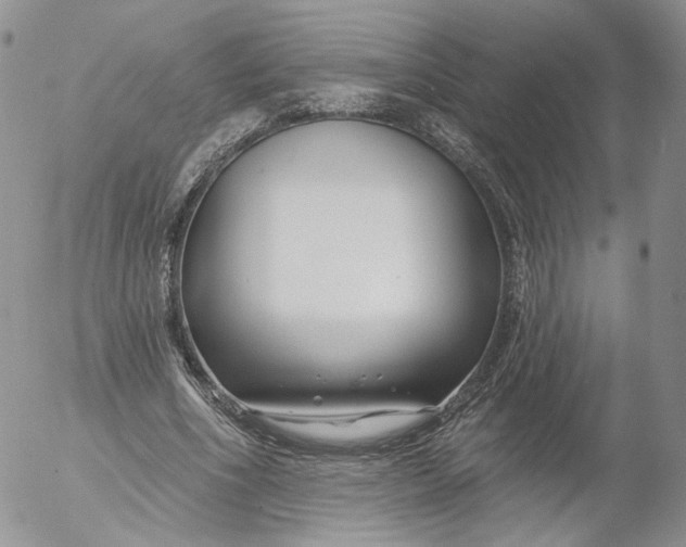 X0000053120586200508012153