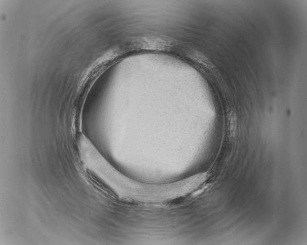 X0000053120587200508012153