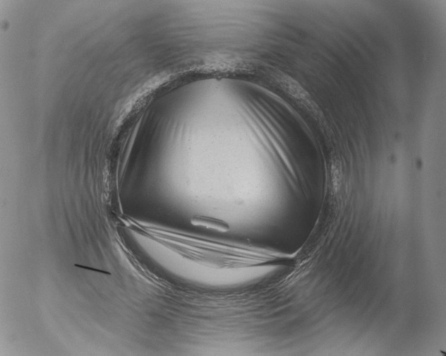 X0000053120588200508012153