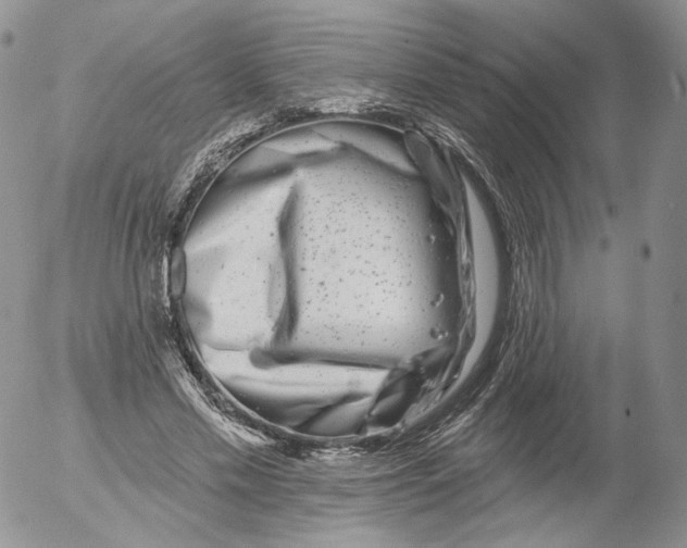 X0000053120589200508012153